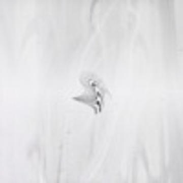 Aftertheparty - Position