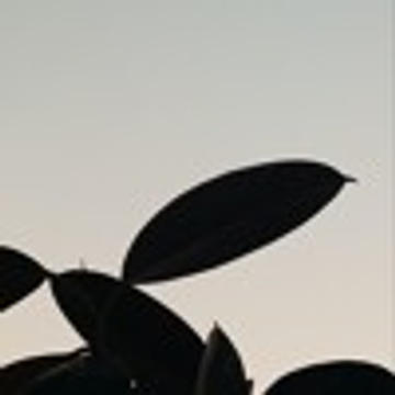 austin marc - before i die 2020