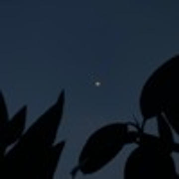 Austin Marc - spaceships 2020