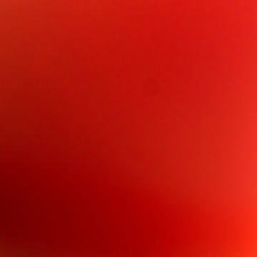 Braulio Fogon - Talco