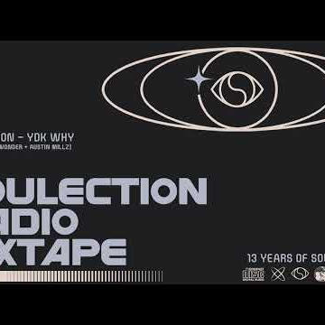 buju banton, wayne wonder + austin millz - you dont know why (Shaka Lion Mix)