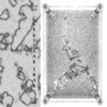 Celestial Trax - Shallow (feat. Chemist)