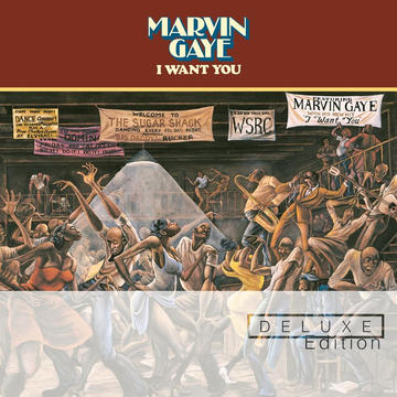 Marvin Gaye - I Want You (Instrumental)
