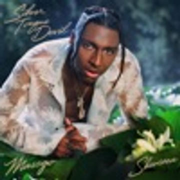 Masego & Shenseea - Silver Tongue Devil