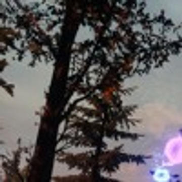 pearlchild - suede x am i wrong (anderson .paak)