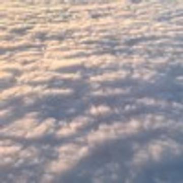 quickly quickly - Yourworth