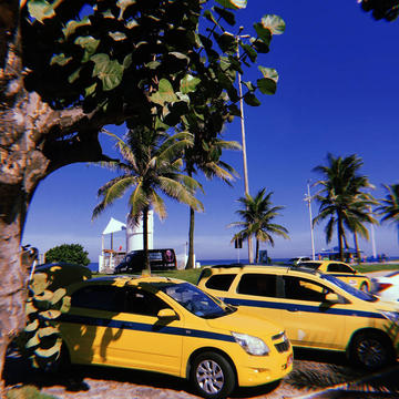 Singularis - after the rain