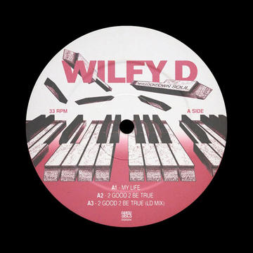 Wilfy D - 2 Good 2 Be True (LD Mix)