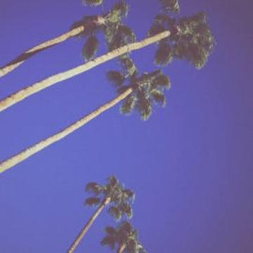 wntr - 𝟷𝟿𝟾𝟿