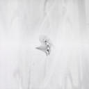 Aftertheparty - Position