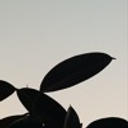 austin marc - before i die 2020