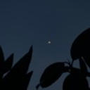 Austin Marc - spaceships 2020