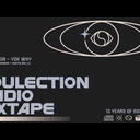 buju banton, wayne wonder + austin millz - you dont know why (Shaka Lion Mix)