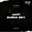 Burna Boy - Ye (Amapiano Remix)