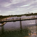 cay caleb - soulful feels.