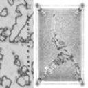 Celestial Trax - Shallow (feat. Chemist)