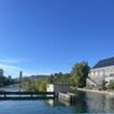 DeeDONTCARE - Human Nature Ting