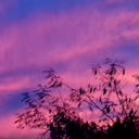 j. robb - likeiluvuu '18