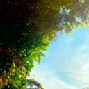 JVKINHO - Brass & Rhodes