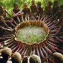 KDaGreat - Full Circle