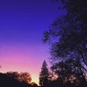 omoidé - Onto The Next