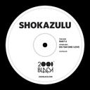 Shokazulu - Dis Yah One I Love