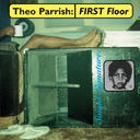 Theo Parrish - Paradise Architects