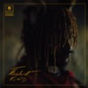 Thundercat - How I Feel