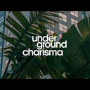 Twenty Weeks - Compensating.Flip