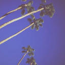 wntr - 𝟷𝟿𝟾𝟿