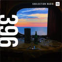 Soulection Radio Show #396 (Budgie Radio)