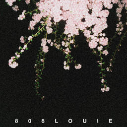 DESERVE IT (PROD. 808LOUIE)