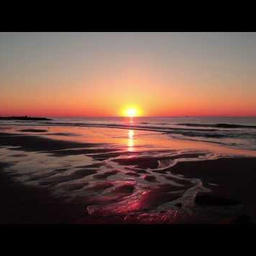 Bonita Applebum (Instrumental)