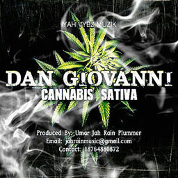 Cannabis Sativa