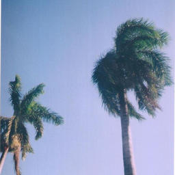 goodvibe (freestyle)