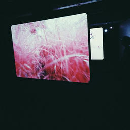 lets escape (freestyle)