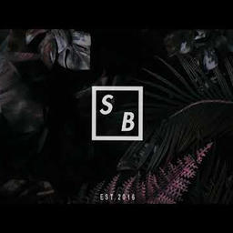 twenty (feat. levant)