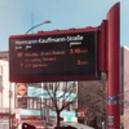 Monday (Black Roses)