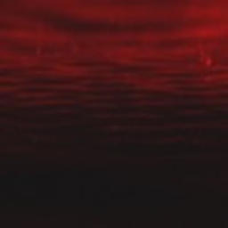 Reservoir (feat. Wasalu)