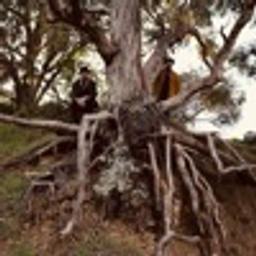 Miles Away (feat. C.S. Armstrong)