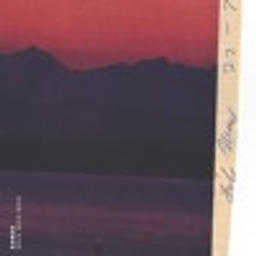 Don't (Sango & Bryson Tiller Salgueiro Mix) [feat. Chris McClenney]