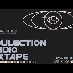 you dont know why (Shaka Lion Mix)