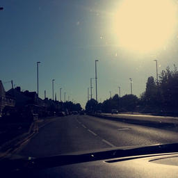 idk what they want from me