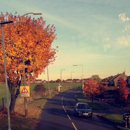 love of my life (heavier edit)