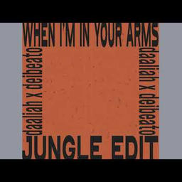 When I'm In Your Arms (Daaliah & Deibeato JUNGLE Edit)