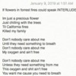 If Flowers In Forrest Fires Could Speak