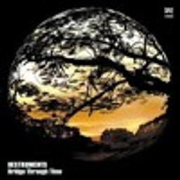 What You Won't Do For Love (Featuring Austin Bohlman, Texacali Horns & Jeff Tame