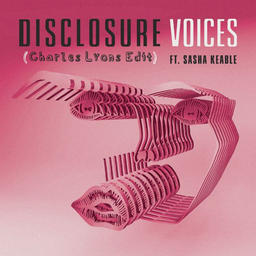Voices (feat. Sasha Keable)