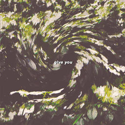 Give You