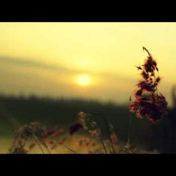 Wifey Riddim (Instrumental)